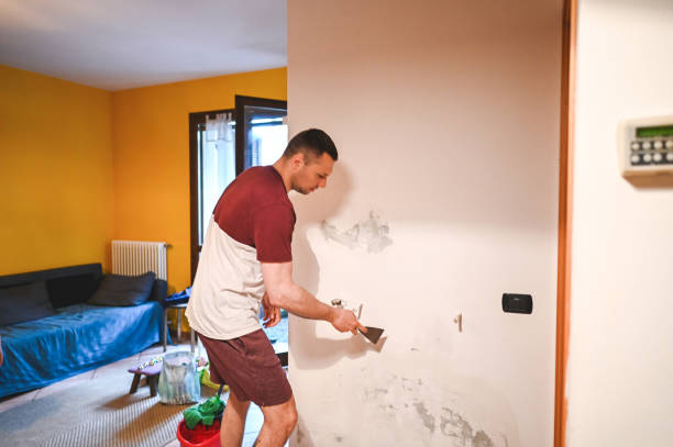 Best Commercial Mold Removal  in Hammond, IN